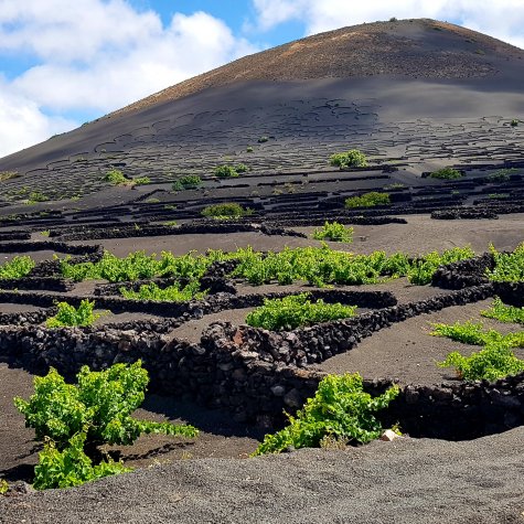 Circuit in 4x4: smaken van  Lanzarote