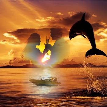 zonsondergang en dolfijnen